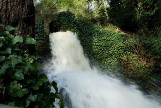 Waterfall in Charlie's Trail