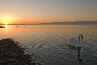 Lagoon at sunset