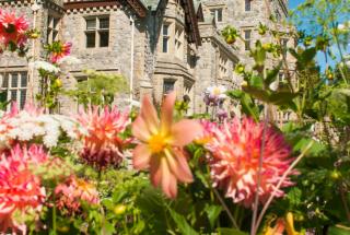 Castle in bloom