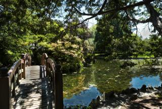 Japanese Garden walking bridge