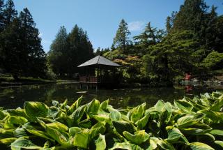 Japanese Garden