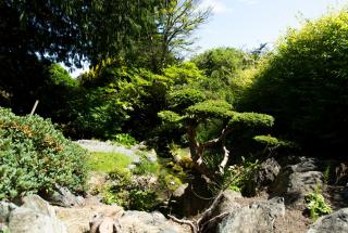 Upper Japanese Garden