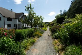 Garden path