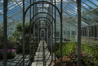 In the greenhouse