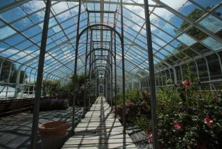 In the greenhouse