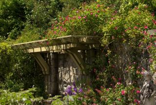 Italian Garden in bloom