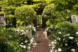 Walkway in Italian Gardens