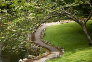 Walkway in the Japanese Garden