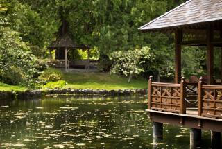 Pond and gazebo in Japanese Garden