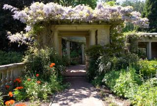Italian Garden wisteria-covered archway