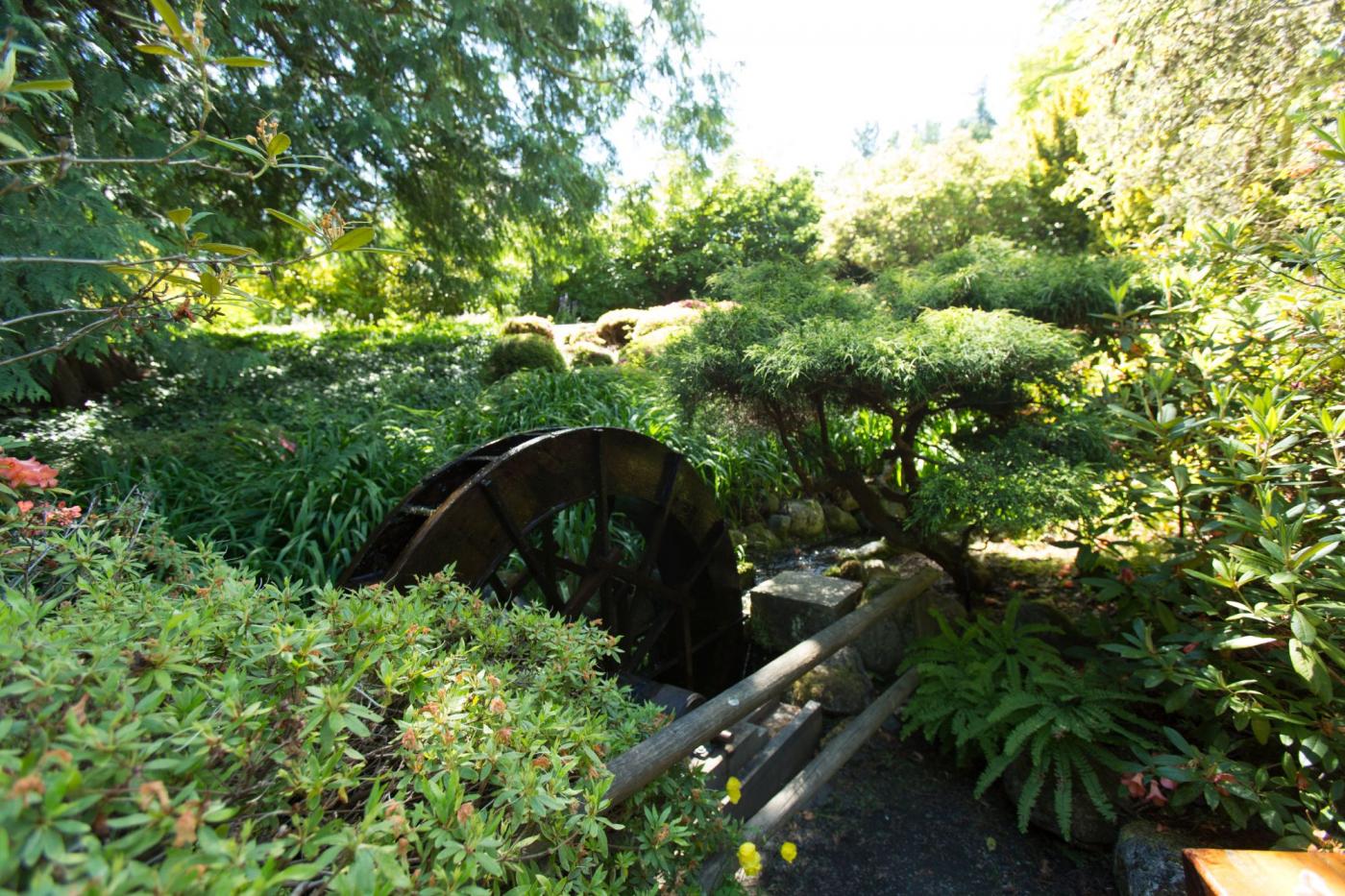Japanese Garden water wheel Royal Roads University Hatley Park